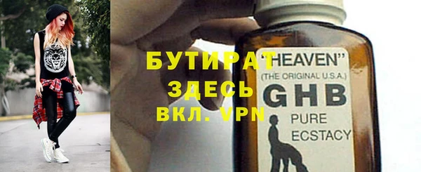 сатива Карпинск