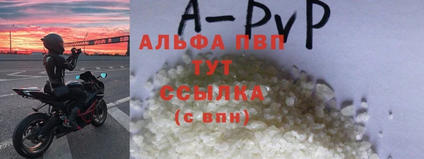 сатива Карпинск