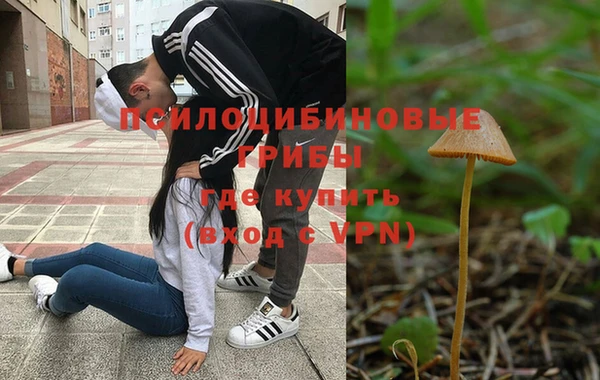 спиды Карталы