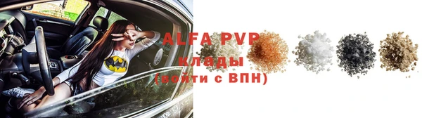 сатива Карпинск