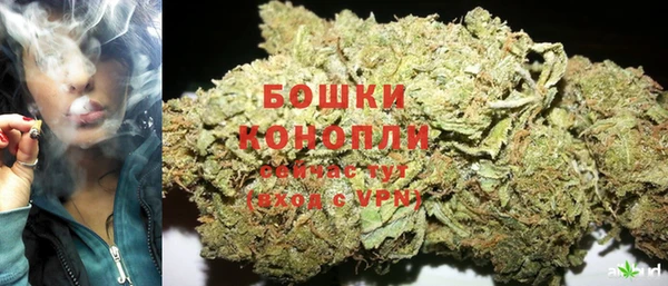 сатива Карпинск