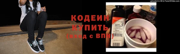 сатива Карпинск