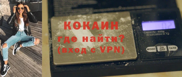 сатива Карпинск