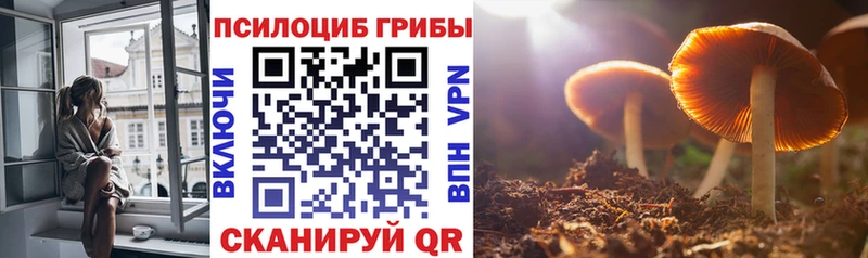 Галлюциногенные грибы мухоморы  Кингисепп 